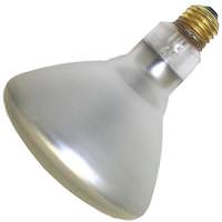 Damar 75 watt 130 volt BR38 Medium Screw Base Clear Flood