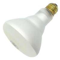 Rough Service / Safety Coated Flood Light Bulbs