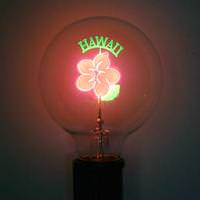View "Hawaii Red Flower" G25 Medium Screw Base