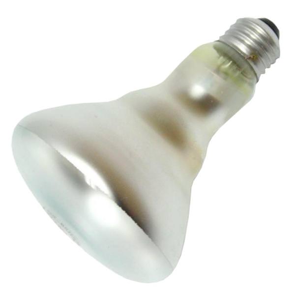 100 watt R30 European Medium Screw Base Base Daylight