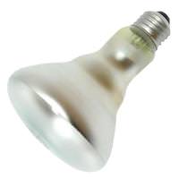 Damar 100 watt R30 European Medium Screw Base Base Daylight