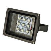 Eiko 25 watt 9/18 volt DC 5000K Daylight Bronze LED Flood Light 