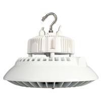 View 100 watt 200/480 volt 5000K Dimmable LED Bay Light