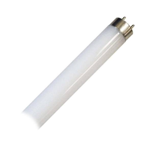 32 watt 48" T8 Medium Bi-Pin Base 5000K Daylight