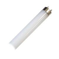 Eiko 32 watt 48" T8 Medium Bi-Pin Base 5000K Daylight