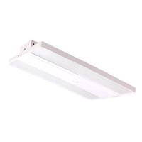 Eiko 1' x 2' 240 watt 120/277 volt 5000K Dimmable LED High Bay
