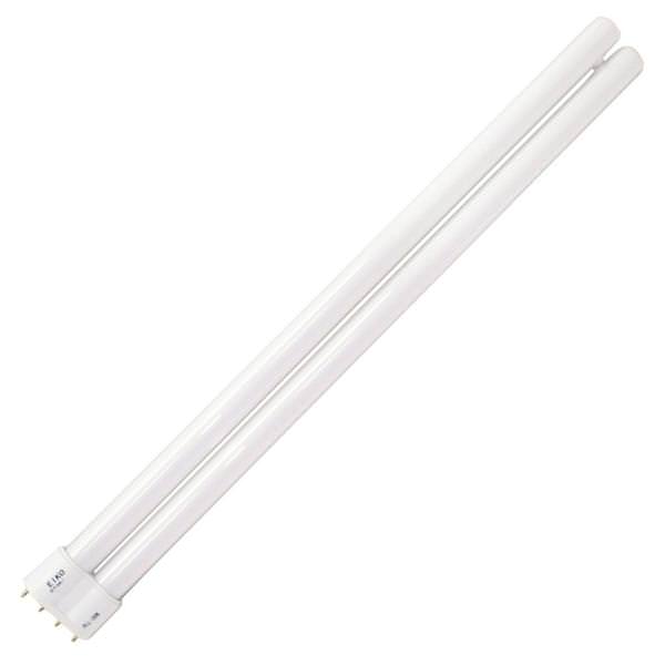 36 watt T4 4-Pin Base 6500K Daylight CFL