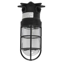 EPCO 1 Light Twist and Lock Base Glass Globe with Safety Cage Utility Light