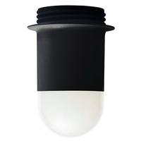EPCO 14 watt 120/277 volt 5000K Daylight Non-Dimmable Wet Location LED Ceiling / Wall Fixture