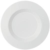 Euri Lighting 5"-6" 21 watt 120 volt 5000K Dimmable LED Downlight Retrofit Kit