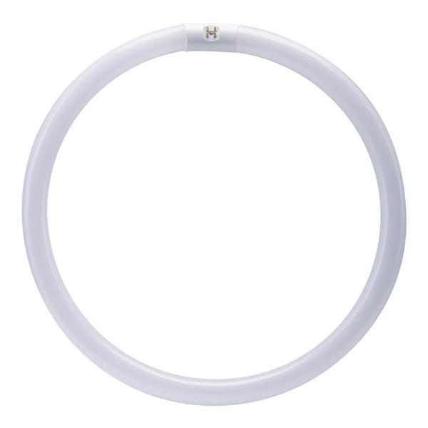 15.9" 40 watt T10 4-Pin Base 4000K Cool White Circular Non-Dimmable