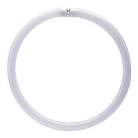 Feit Electric 15.9" 40 watt T10 4-Pin Base 4000K Cool White Circular Non-Dimmable