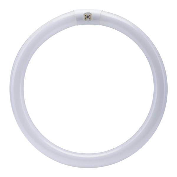 32 watt T9 4,100K Cool White Non-Dimmable
