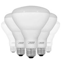 Feit Electric 7.2 watt 120 volt BR30 Medium Screw Base 5000K Daylight Non-Dimmable (12 Pack)