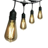 Feit Electric 30' 120 volt Medium Screw Base 2200K Warm White Black Wire Dimmable LED Set