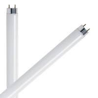 Feit Electric 17 watt T8 Medium Bi-Pin Base 4100K Cool White Non-Dimmable (2 Pack)