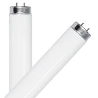 Feit Electric 48" 32 watt T8 Medium Bi-Pin Base 3000K Natural White Non-Dimmable (2 Pack)