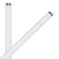 Feit Electric 48" 32 watt T8 Medium Bi-Pin Base 6500K Daylight Non-Dimmable (2 Pack)