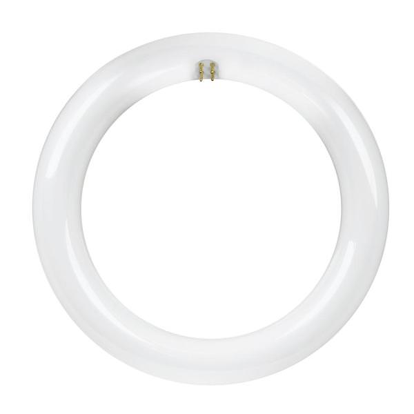 15 watt 8" T9 4-Pin Base 4100K Cool White Non-Dimmable LED