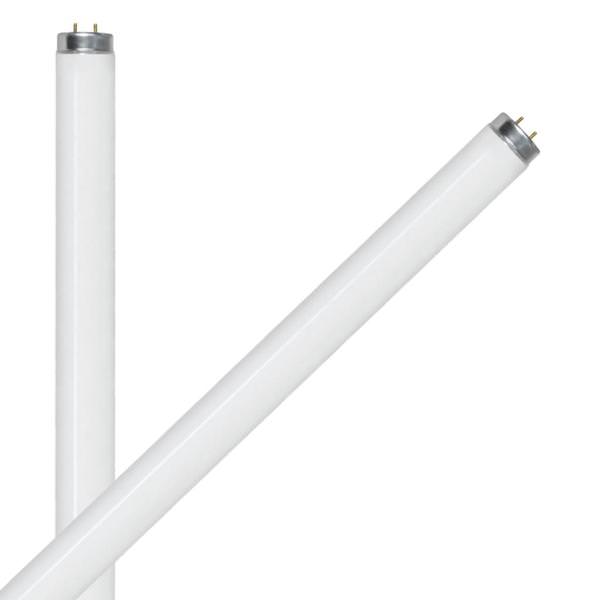 24" 20 watt T12 Medium Bi-Pin Base 4100K Cool White Non-Dimmable (2 Pack)