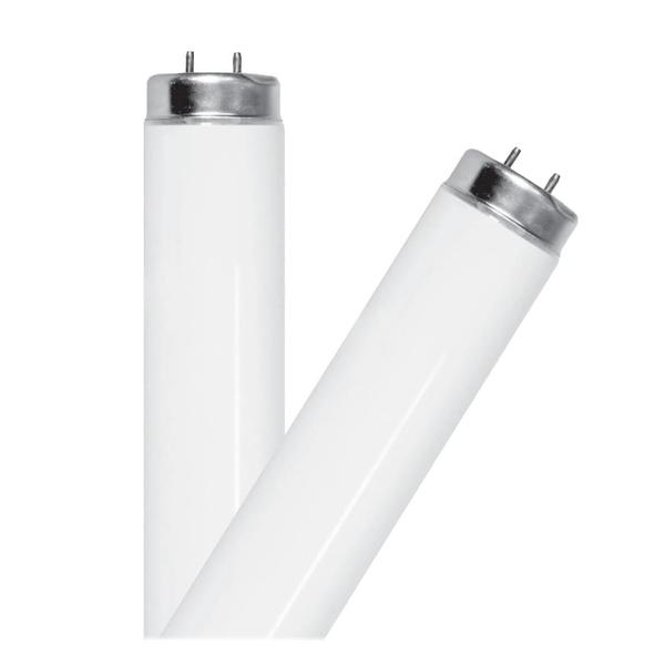 48" 40 watt T12 Medium Bi-Pin Base 6500K Daylight Non-Dimmable
