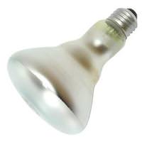 R30 Reflector Flood / Spot Light Bulbs