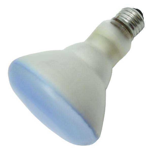65 watt 120 volt R30 Medium Screw Base Flood