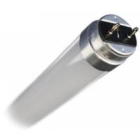 GE 18 watt 48" T8 Medium Bi-Pin Base 5000K Daylight Dimmable LED