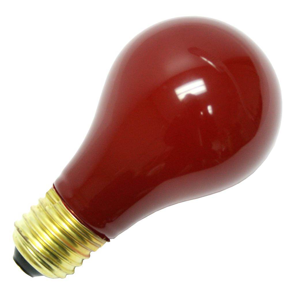 28111 Standard (Solid / Ceramic) Colored Standard Light Bulb