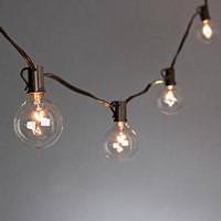 Gerson 10 Light 10' Brown Wire (Candelabra Screw Base) Light String with 10 Clear G50 7 watt Bulbs