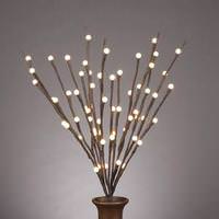 Click to view larger photo