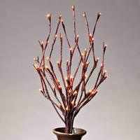 Click to view larger photo