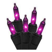 Gerson 100 Light 25' Black Wire Purple String Lights