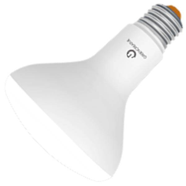 Terzijde Menda City Tirannie Green Creative 36695 - BR30 LED Flood Light Bulb | LightBulbs.com