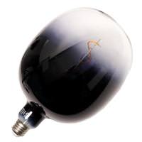 Green Creative 4.5 watt 120 volt E53 Medium Screw Base 1800K Warm White Smoky Ombre Dimmable LED