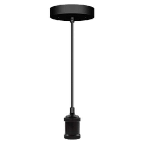 120 volt Black Medium (E26) Screw Base Pendant
