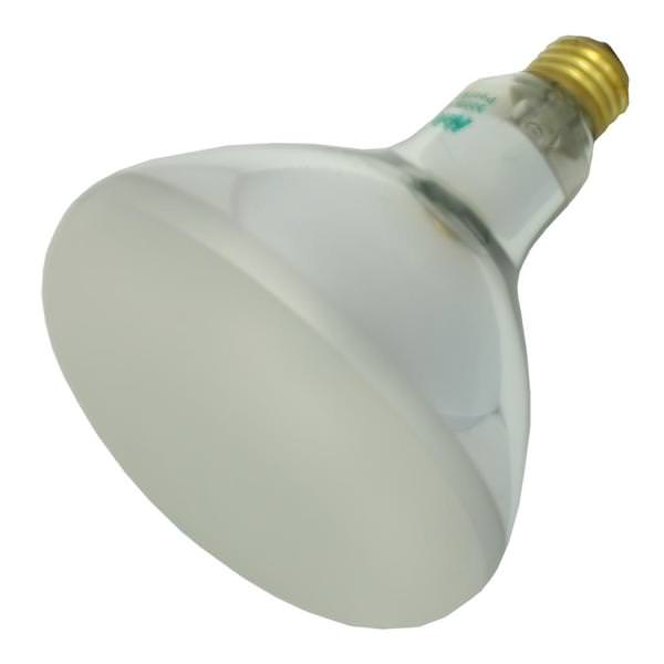 300 watt 12 volt R40 Medium Screw Base Flood