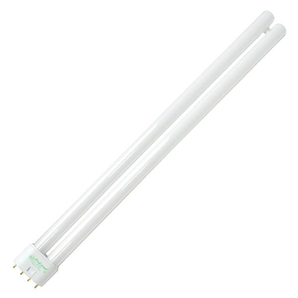 36 watt T5 4-Pin Base 4100K Cool White CFL