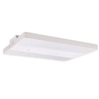 Halco 1' x 1' 110 watt 120/277 volt 5000K Daylight Dimmable LED High Bay