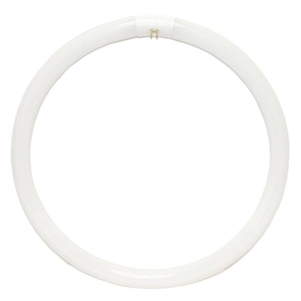 40 watt 16" T9 4-Pin Base 4100K Cool White