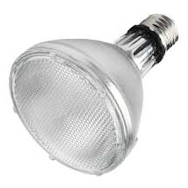 70 watt PAR30 Medium Screw Base 4200K Cool White Flood Metal Halide