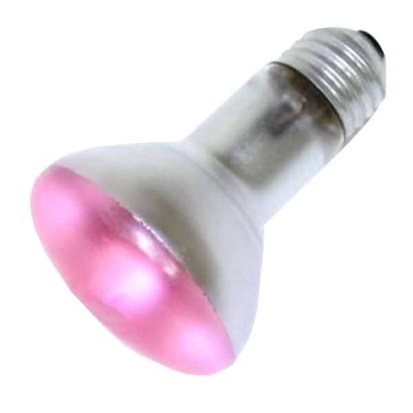 6.5 watt 120 volt R20 Medium Screw Base Pink Dimmable Flood LED