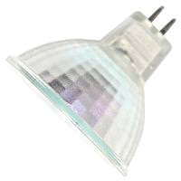Hikari 10 watt 24 volt MR16 Bi-Pin Base 2800K Warm White Covered Wide Flood