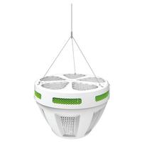HyLite 440 watt 120/277 volt 5000K Daylight NEMA 2 Indirect Lighting Loop Mount LED Flood Light