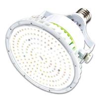 HyLite 40 watt 120/277 volt Mogul Screw Base 3000K Natural White Shatterproof LED