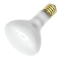 Industrial Performance 300 watt 130 volt R40 Mogul Screw Base Frosted Flood Light Bulb