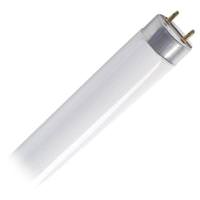 Keystone 48" 32 watt T8 Bi-Pin Base 6500K Daylight