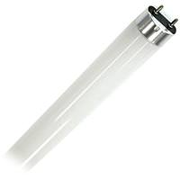 Keystone 12 watt 120/277 volt 48" T8 Medium Bi-Pin Base 3500K Neutral White LED