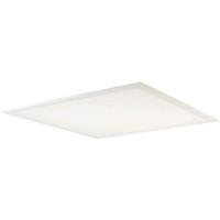 Lithonia Lighting 2' x 2' 20 watt 120/277 volt 4000K Cool White Dimmable LED Panel