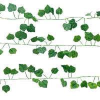 Kikkerland 10' Green Ivy String Lights Battery Operated Garland